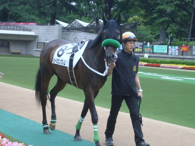 2009年5月30日＊500万下ﾊﾟﾄﾞｯｸ ピースエンブレム