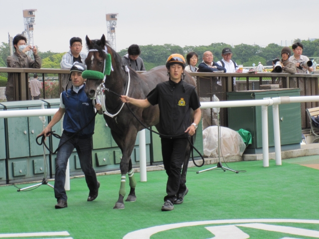 ５００万下ウイナーズサークル ピースエンブレム