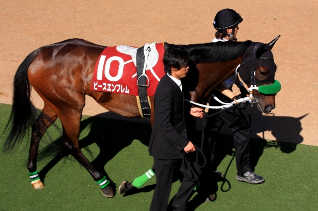 2009/04/25フローラステークスパドックその3 ピースエンブレム