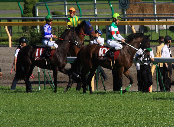 2009/04/25フローラステークス本馬場入場その4 ピースエンブレム