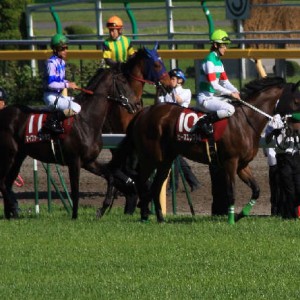 2009/04/25フローラステークス本馬場入場その4