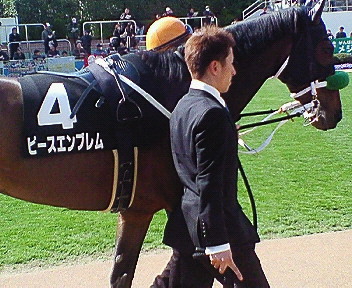 2009/03/28ミモザ賞パドックその2 ピースエンブレム