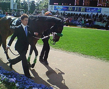2009/03/28ミモザ賞パドックその3 ピースエンブレム