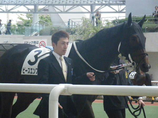 2010/04/17_4歳上1000万下パドックその1 ピースエンブレム