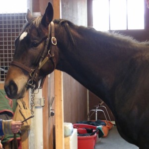 ノーザンファーム空港見学時