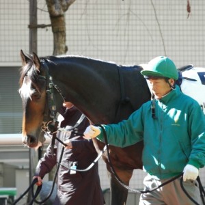 ２歳未勝利　阪神