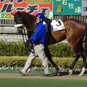 2010/02/07　東京８Ｒ　４歳上５００万下