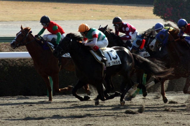12月21日　中山4R未勝利戦 ランフォルセ