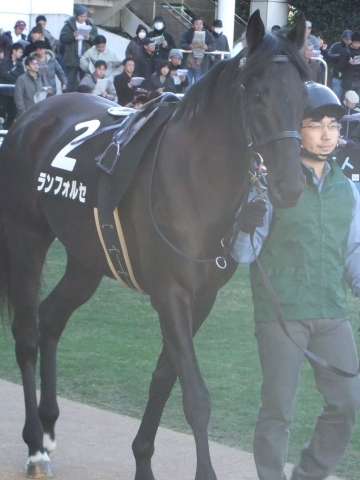 千葉テレビ杯　パドック ランフォルセ