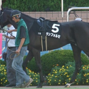 ながつきＳ ダ右1800m