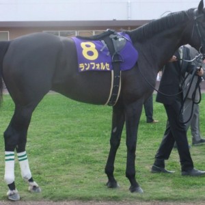 船橋競馬場　日テレ杯