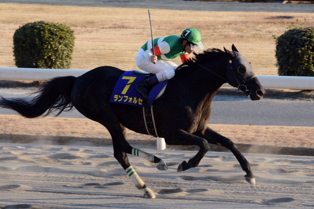 川崎記念 ランフォルセ