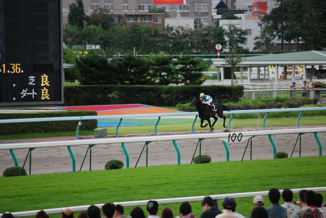 羊蹄山特別　直線 ランフォルセ