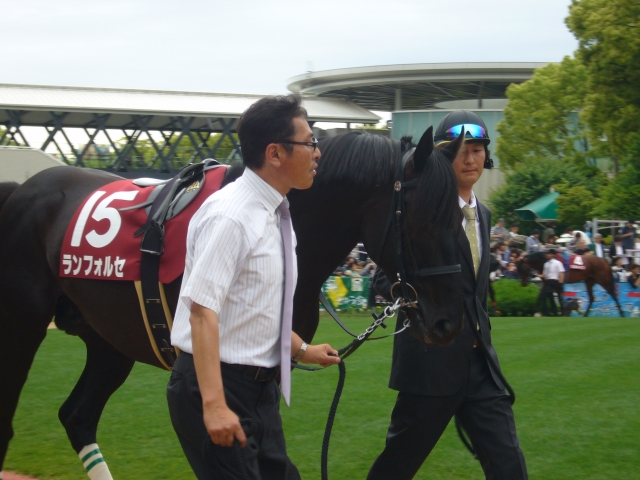 東海Sパドック ランフォルセ