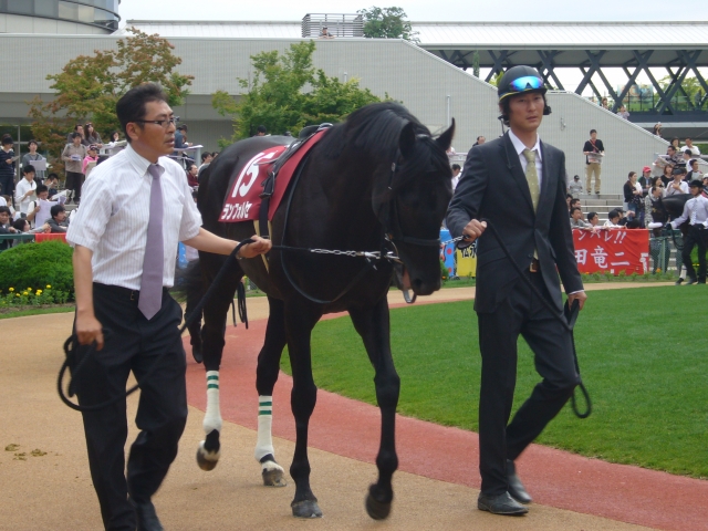 東海Sパドック③ ランフォルセ