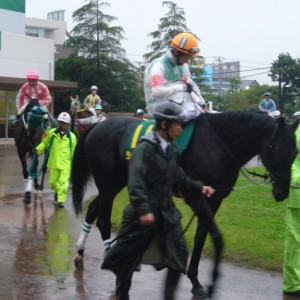 かしわ記念パドック・横山典弘騎手