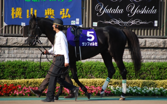 第24回マイルCS南部杯(G1) ランフォルセ
