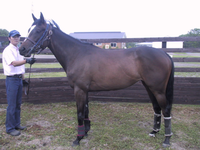 08.6.15 モルガナイト