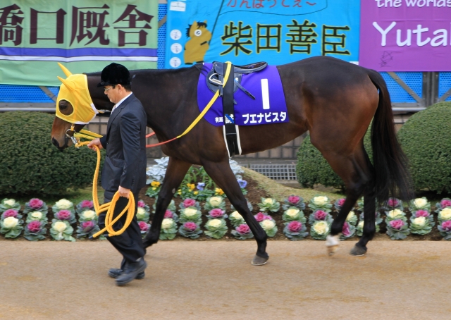 有馬記念 ブエナビスタ