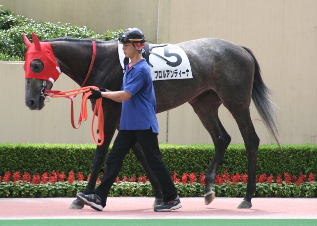 第２回小倉競馬第１日１Ｒ フロルアンディーナ
