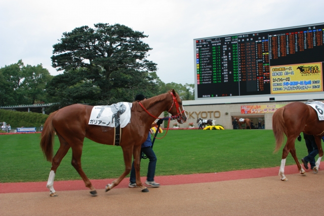 09.10.17 京都７Ｒ ガリアーノ ガリアーノ