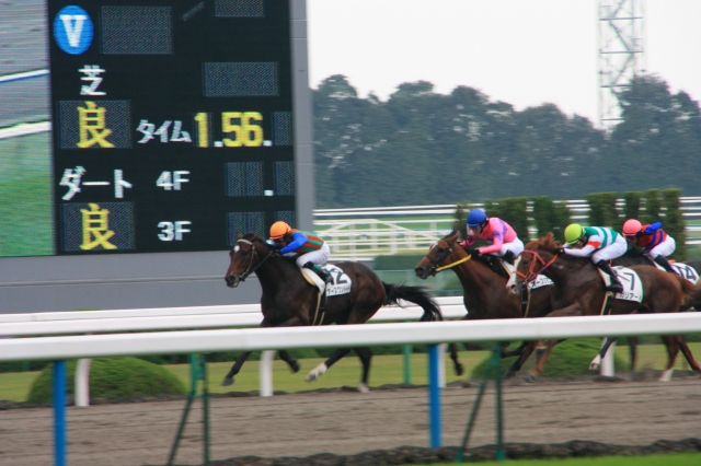 09.10.17 京都７Ｒ ガリアーノ ガリアーノ