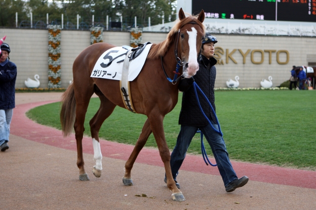 2009/01/25 京都５Ｒ ３歳未勝利 ガリアーノ