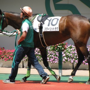 福島　未勝利戦パドック