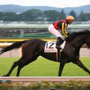 10/17　東京12R　返し馬