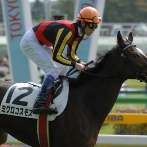 新馬戦返し馬
