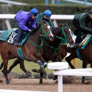フィリーズレビュー最終追い切り