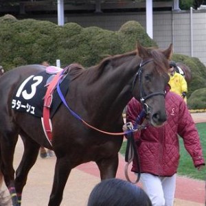 飛梅賞(20080110京都９R)