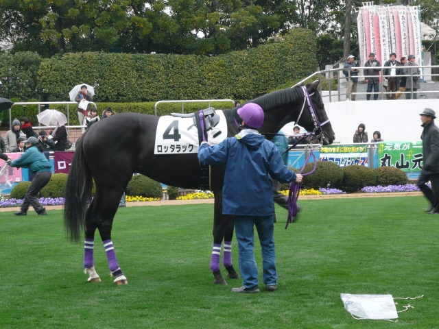 2009/3/1新馬戦パドック ロッタラック