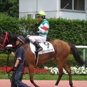3歳未勝利