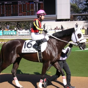 初コンビ　伊藤工真騎手とパドック周回中