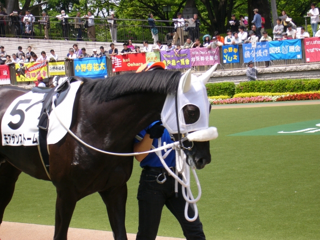 3歳500万緒戦3 モアザンストーム
