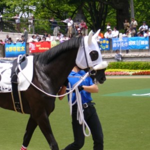 3歳500万緒戦2