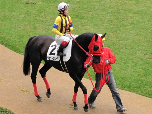 2008/12/13　2歳未勝利 ジェットスパークル