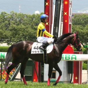 新馬戦　返し馬
