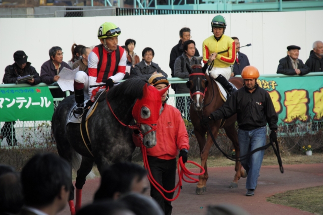マルチサンド特別 ウインリーズン
