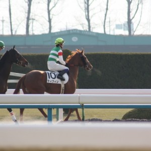 京都競馬場