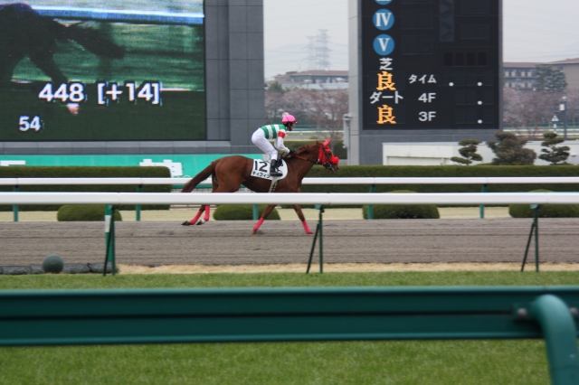 阪神未勝利戦 ティフィン