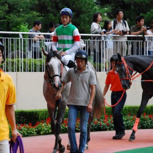 新馬戦２