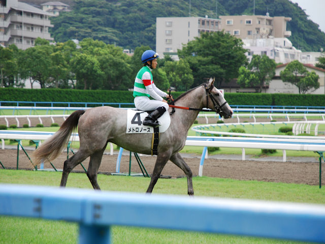 新馬戦３ メトロノース