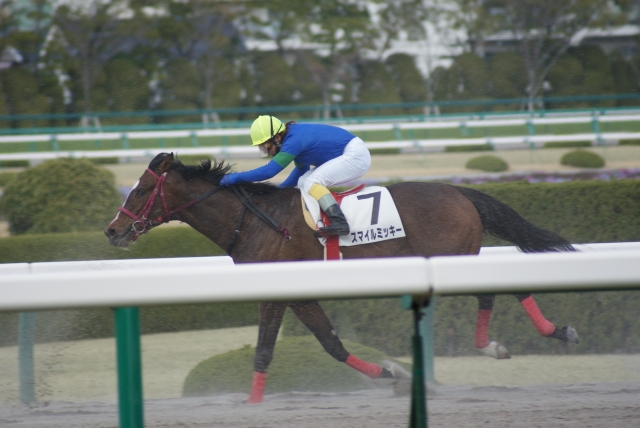 阪神500万 スマイルミッキー