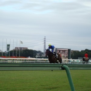 2009.10.03 外房特別