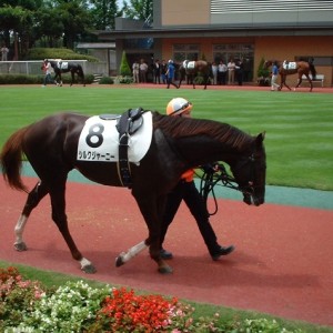 2009年7月25日3歳未勝利戦　10着