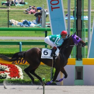 2009年5月23日 3歳500万下 東京ダ1600m