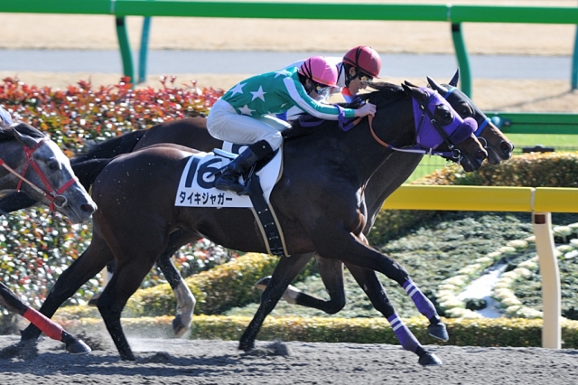 ２月１日　３歳５００万下 タイキジャガー