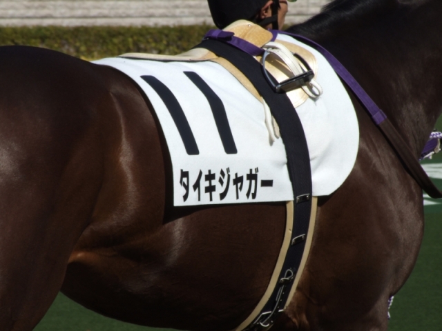 ２月１４日　５００万下② タイキジャガー